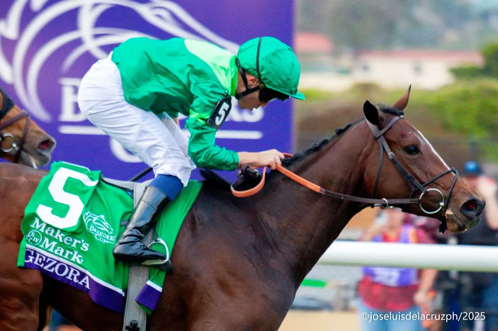 WhatsApp Image 2025-11-04 at 12.48.36 PM (3)