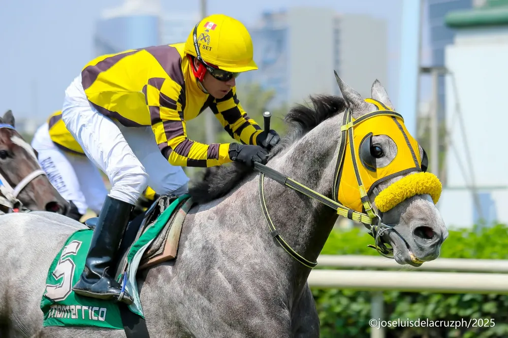 WhatsApp Image 2025-12-15 at 2.25.47 PM