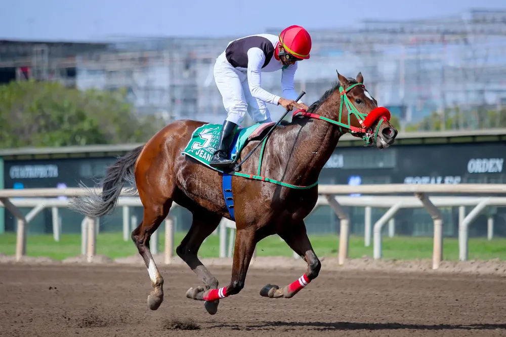 WhatsApp Image 2025-12-14 at 4.00.37 PM