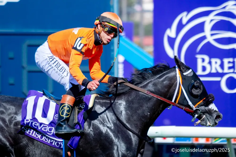 WhatsApp Image 2025-11-01 at 1.49.22 PM