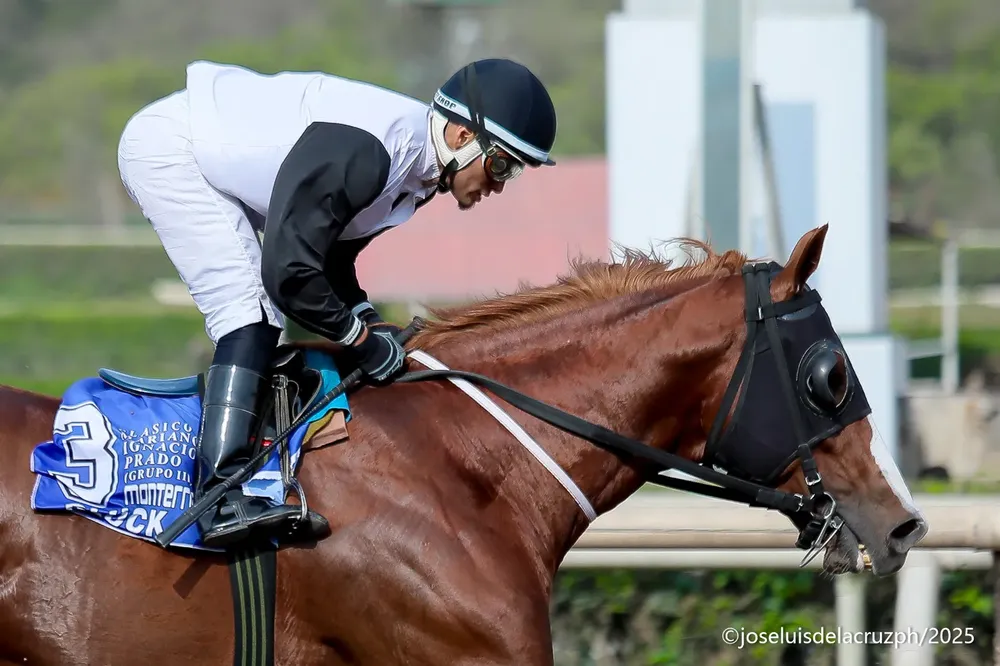 WhatsApp Image 2025-11-04 at 4.33.49 PM (1)