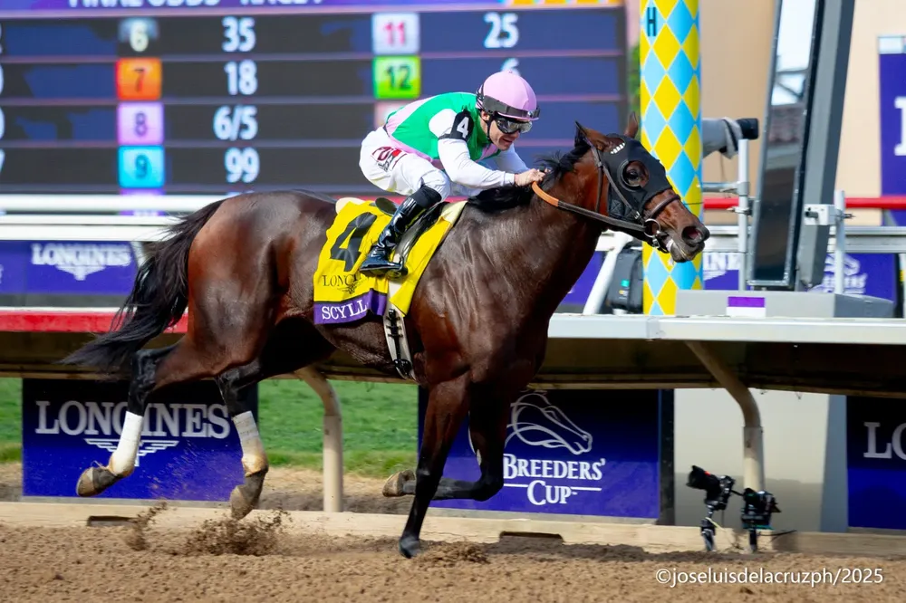 WhatsApp Image 2025-11-04 at 12.44.10 PM