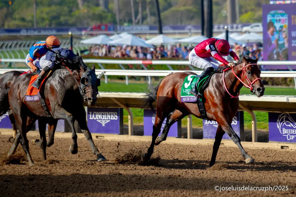 WhatsApp Image 2025-11-04 at 12.48.36 PM