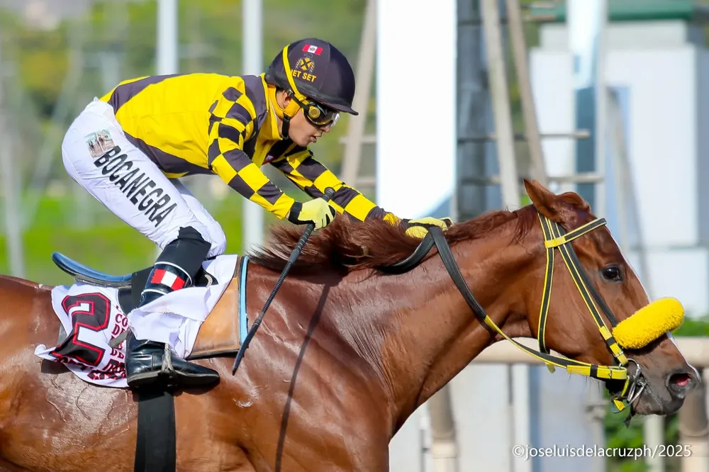 WhatsApp Image 2025-12-14 at 5.04.06 PM