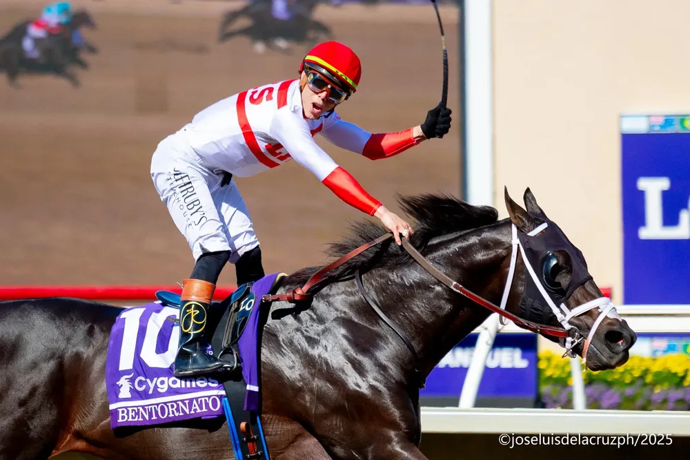 WhatsApp Image 2025-11-04 at 12.42.27 PM