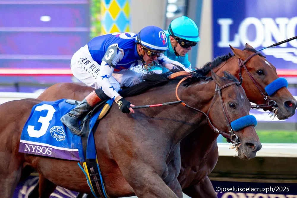 WhatsApp Image 2025-11-04 at 12.48.36 PM (2)