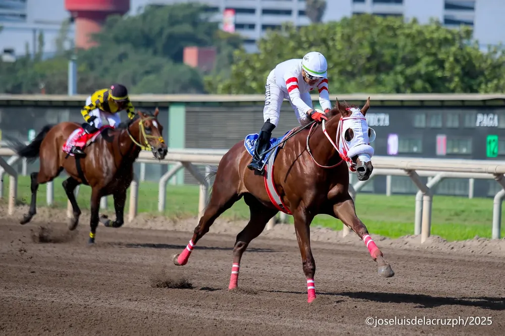 WhatsApp Image 2025-12-21 at 1.17.07 AM